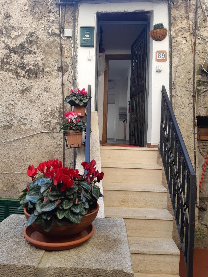 Guidonia Apartment